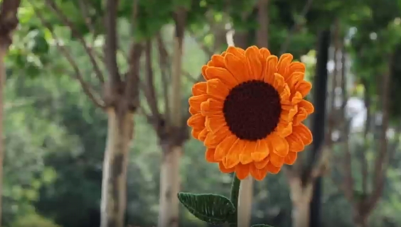 視頻|中考今日（18日）結(jié)束，6月25日18時(shí)可查考試成績(jī)