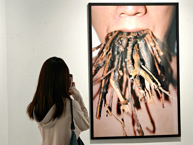 “誰是臥底”藝術(shù)身份實(shí)驗(yàn)展在五三美術(shù)館熱展中