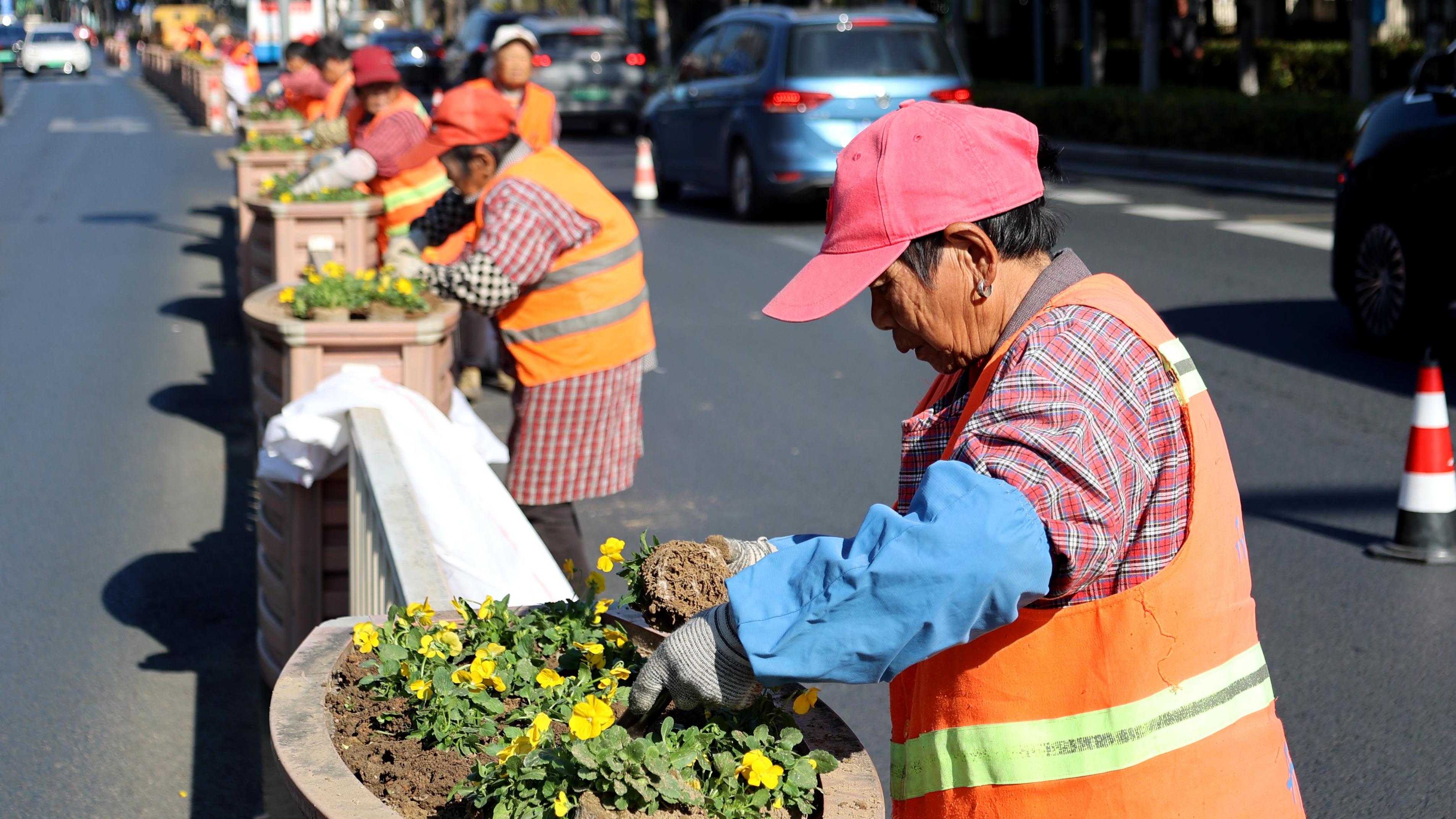 立冬臨近，“花”樣煥新！通城主干道開啟“冬裝”模式