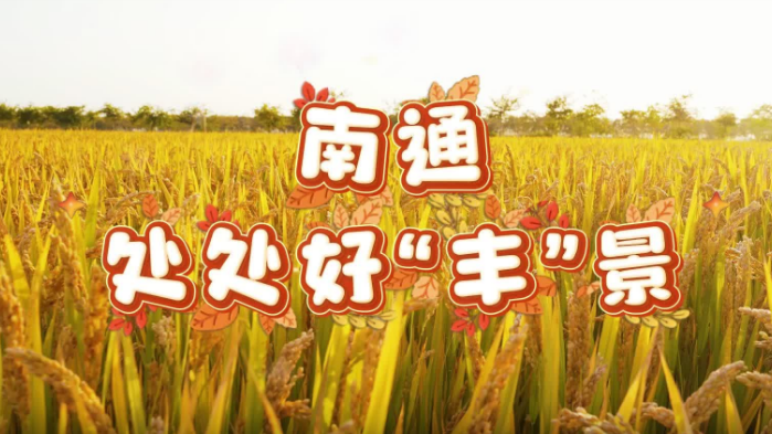 視頻 | 南通處處好“豐”景
