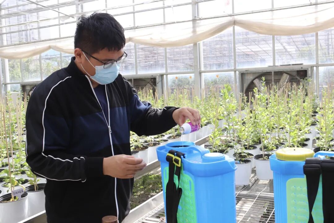 南通科院優(yōu)秀校友付元生亮相國際學(xué)術(shù)會議