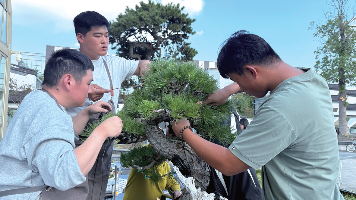 大師“傳真經(jīng)”，新秀“亮絕活” | 如皋盆景“匠藝薈”上演技藝接力
