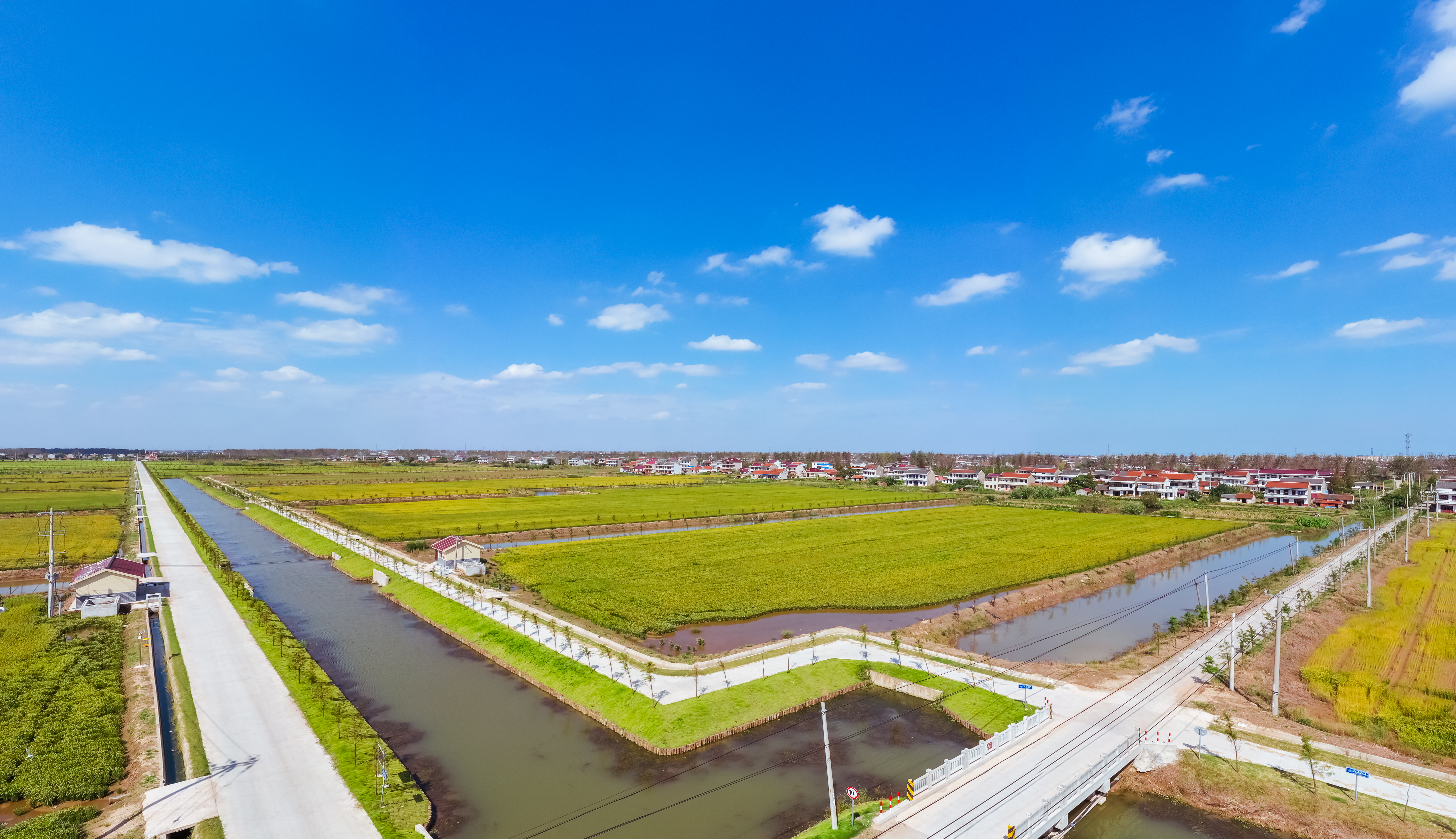 d2d1258b4b4cce01eaaa7c157e5a239 d2d1258b4b4cce01eaaa7c157e5a239.jpg