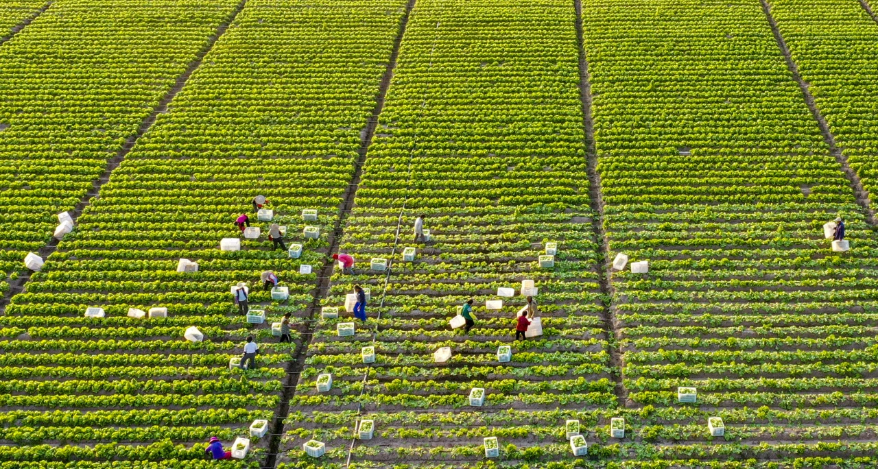 ed9f20306a267c543f2d29d8315622b ed9f20306a267c543f2d29d8315622b.png