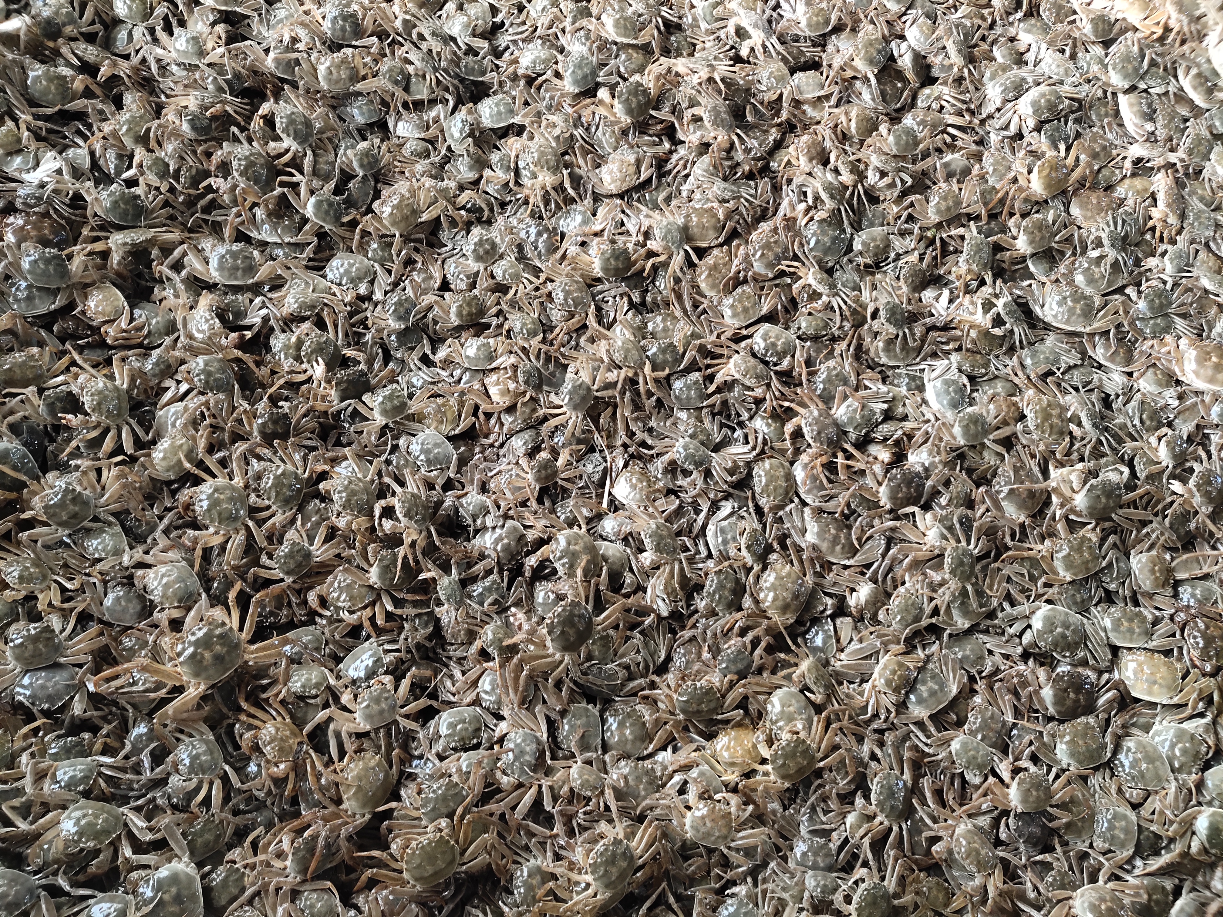 微信圖片_20251112185033_200_158