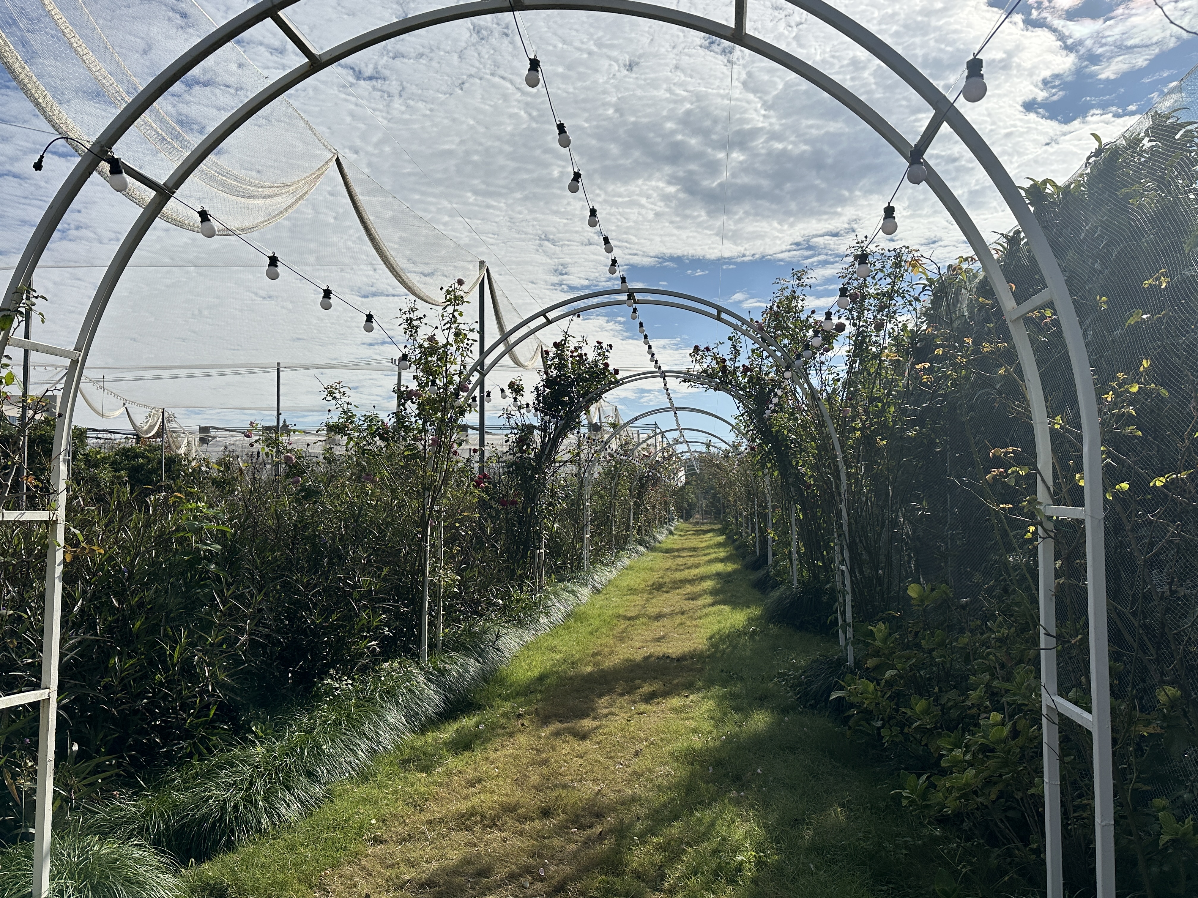 微信圖片_20251113172619