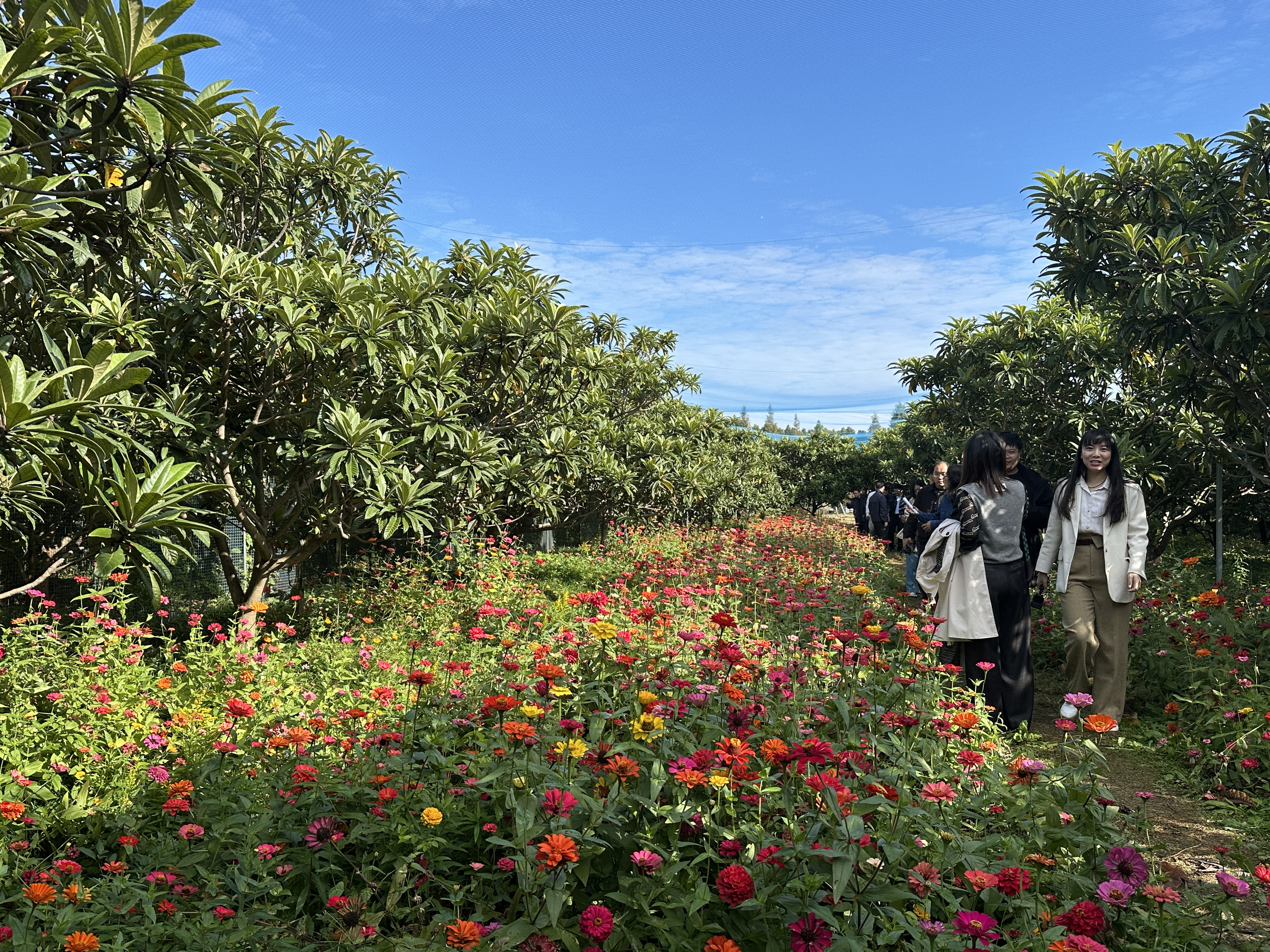 聚焦發(fā)展脈動，見證繁榮圖景 | 通州開展“大金沙” 繁榮新聞采訪行動