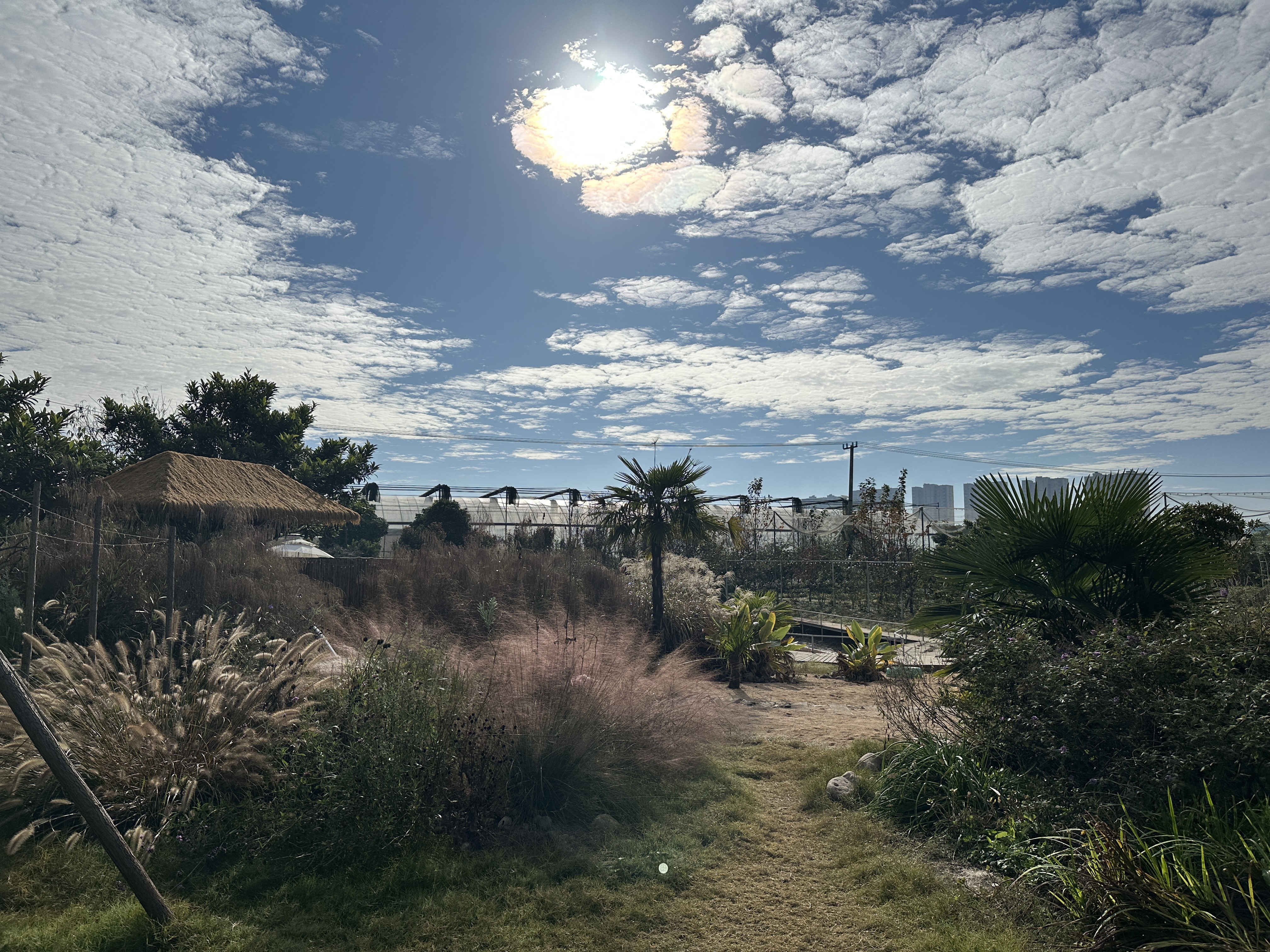 微信圖片_20251113172634